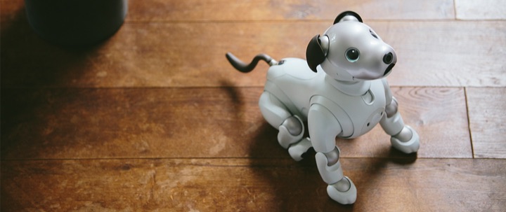 Ivory-white Sony aibo ERS-1000 robot puppy sitting on a wooden floor with its tail curled, looking up toward the camera.