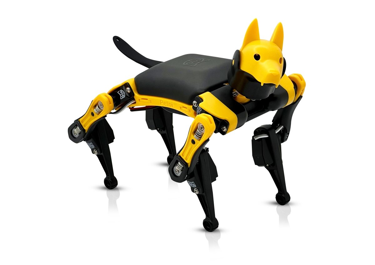 Black-and-yellow Bittle X robot dog on a clean light background, whole robot visible