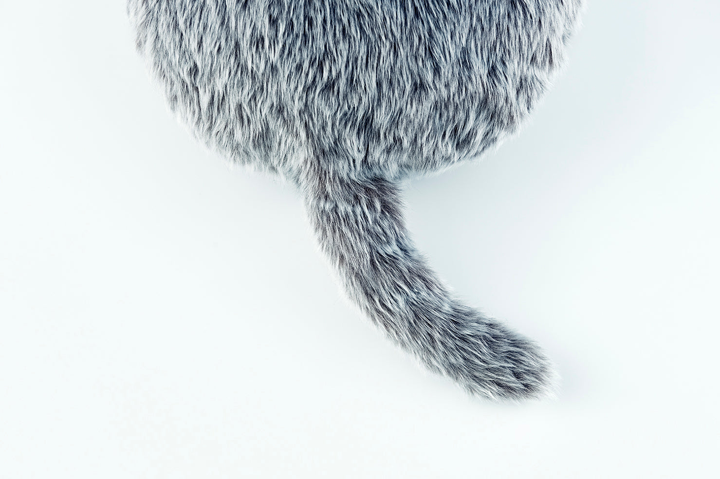 Top hero image from the official Qoobo product page