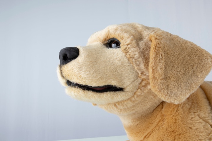 Close-up profile of Jennie, Tombot's golden Labrador puppy robot, with tan fur, black nose, and floppy ears against a pale blue background.